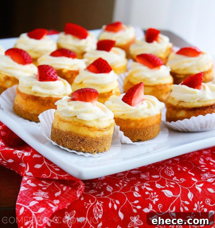 Vibrant Berry Cheesecake Bites 1 featured 104