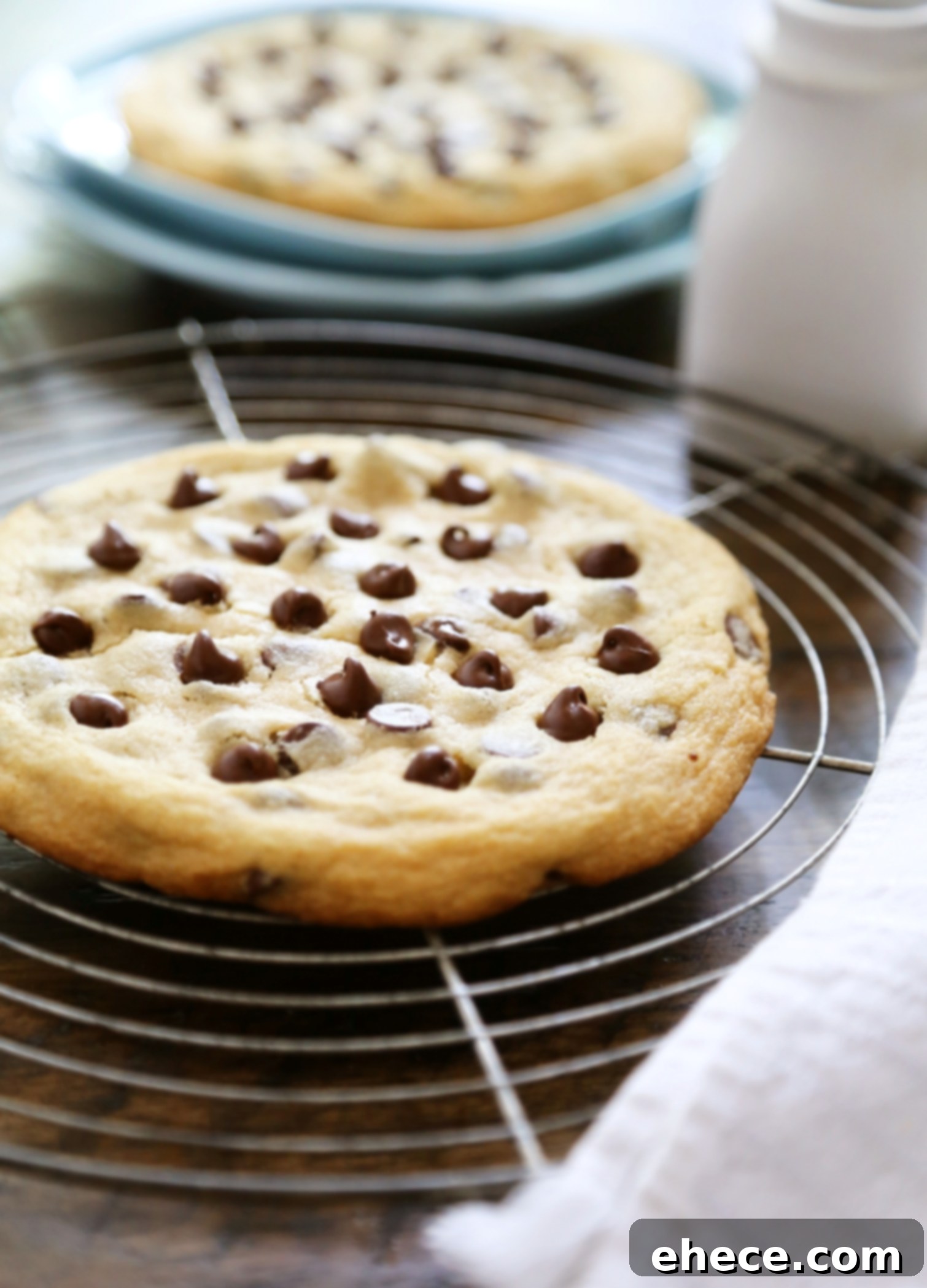 Perfect Pair Chocolate Chip Cookies 1 featured 12694