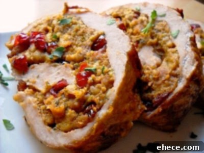 Jeweled Cranberry Walnut Pork Tenderloin 1 featured 378