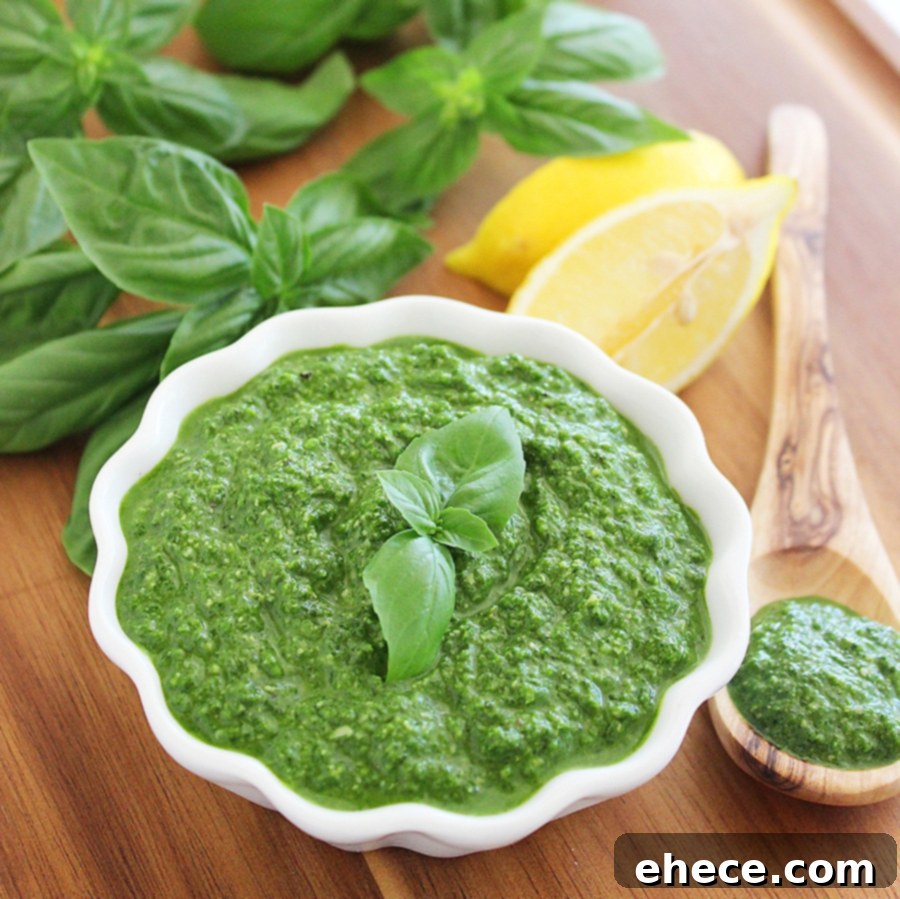Vibrant Spinach Basil Pesto 1 featured 5887