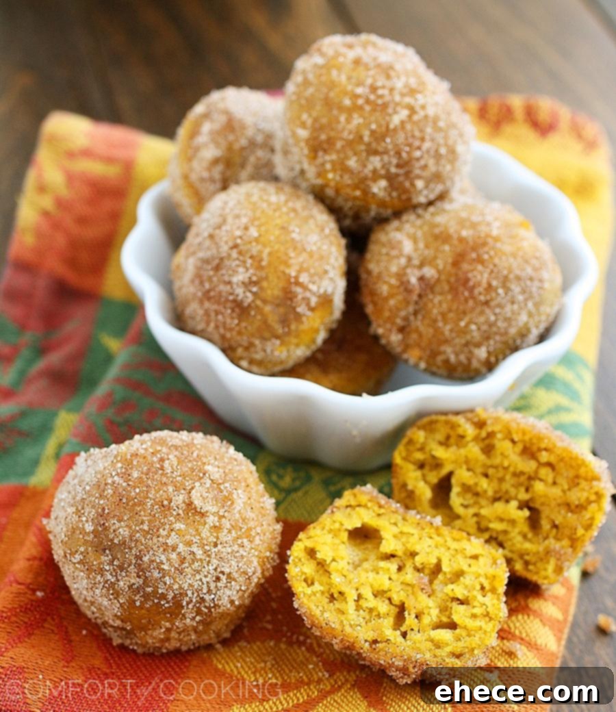 Pumpkin Spice Donut Bites 1 featured 74