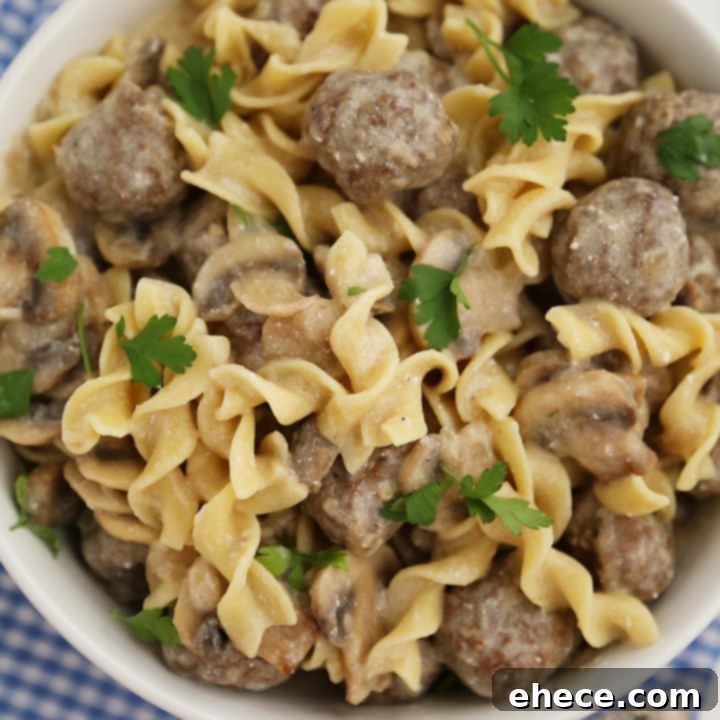 Creamy Mushroom Meatball Stroganoff recipe image