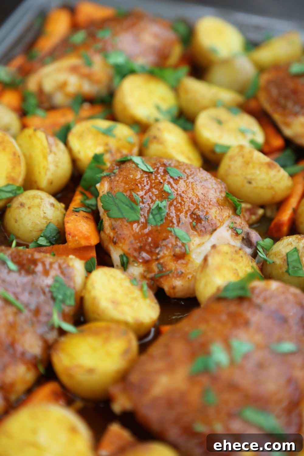 Sheet Pan Garlic Ranch Chicken and Roasted Vegetables 5 Roasted chicken and vegetables on a baking sheet, garnished with fresh parsley
