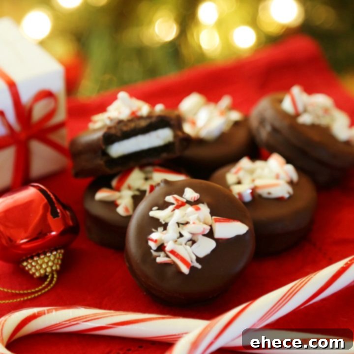 Decadent Peppermint Oreo Delights 6 Chocolate Covered Peppermint Oreos