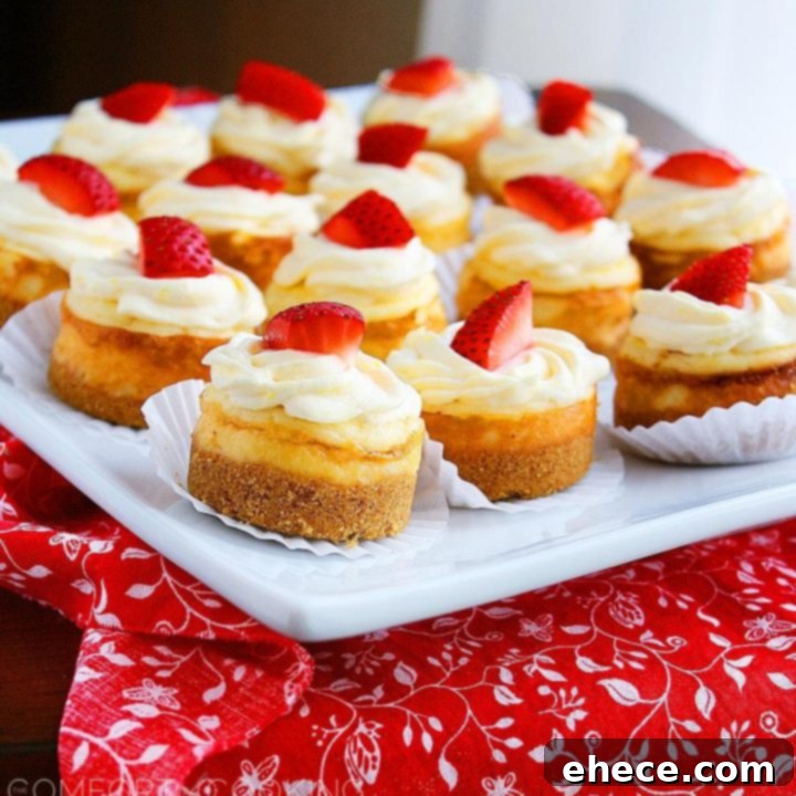 Vibrant Berry Cheesecake Bites 2 Mini Berry Cheesecakes