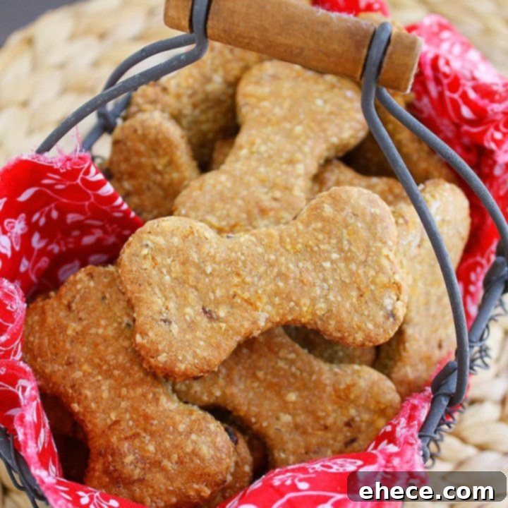 Homemade Peanut Butter & Bacon Dog Treats with Oats and Carrots for Dogs