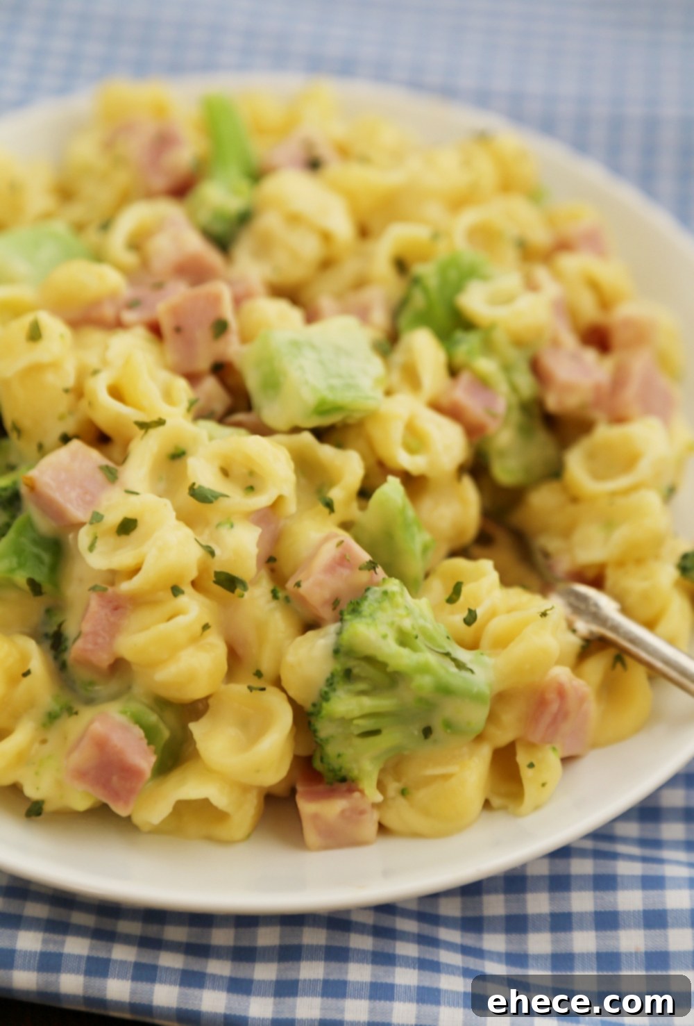 Creamy Ham and Broccoli Shells and Cheese - Cheesy, delicious and easy to make pasta dish with wholesome ingredients!