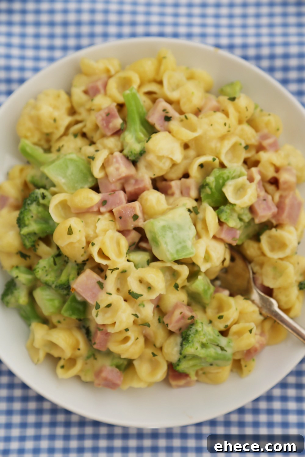 Creamy Ham and Broccoli Shells and Cheese - Cheesy, delicious and easy to make pasta dish with wholesome ingredients!