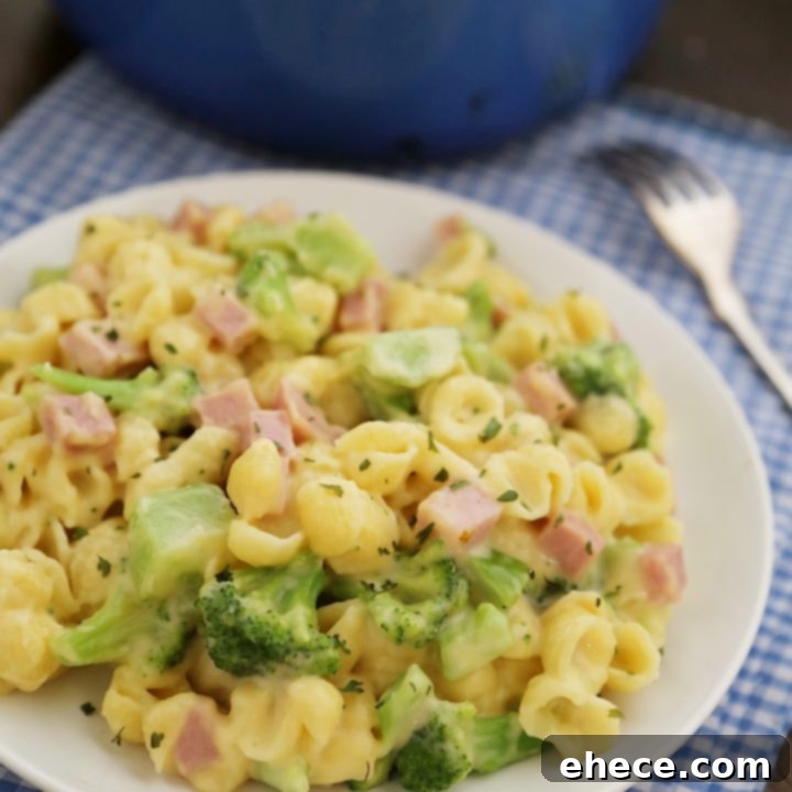 Creamy Ham and Broccoli Shells and Cheese