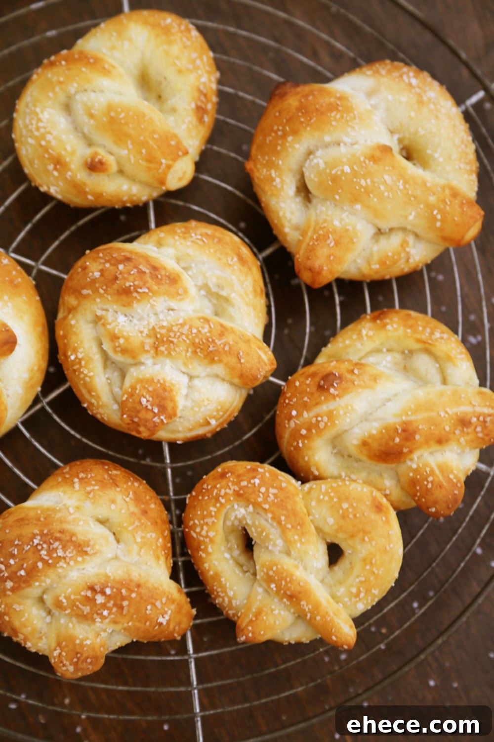 A tray of freshly baked mini soft pretzels, golden brown and salted.