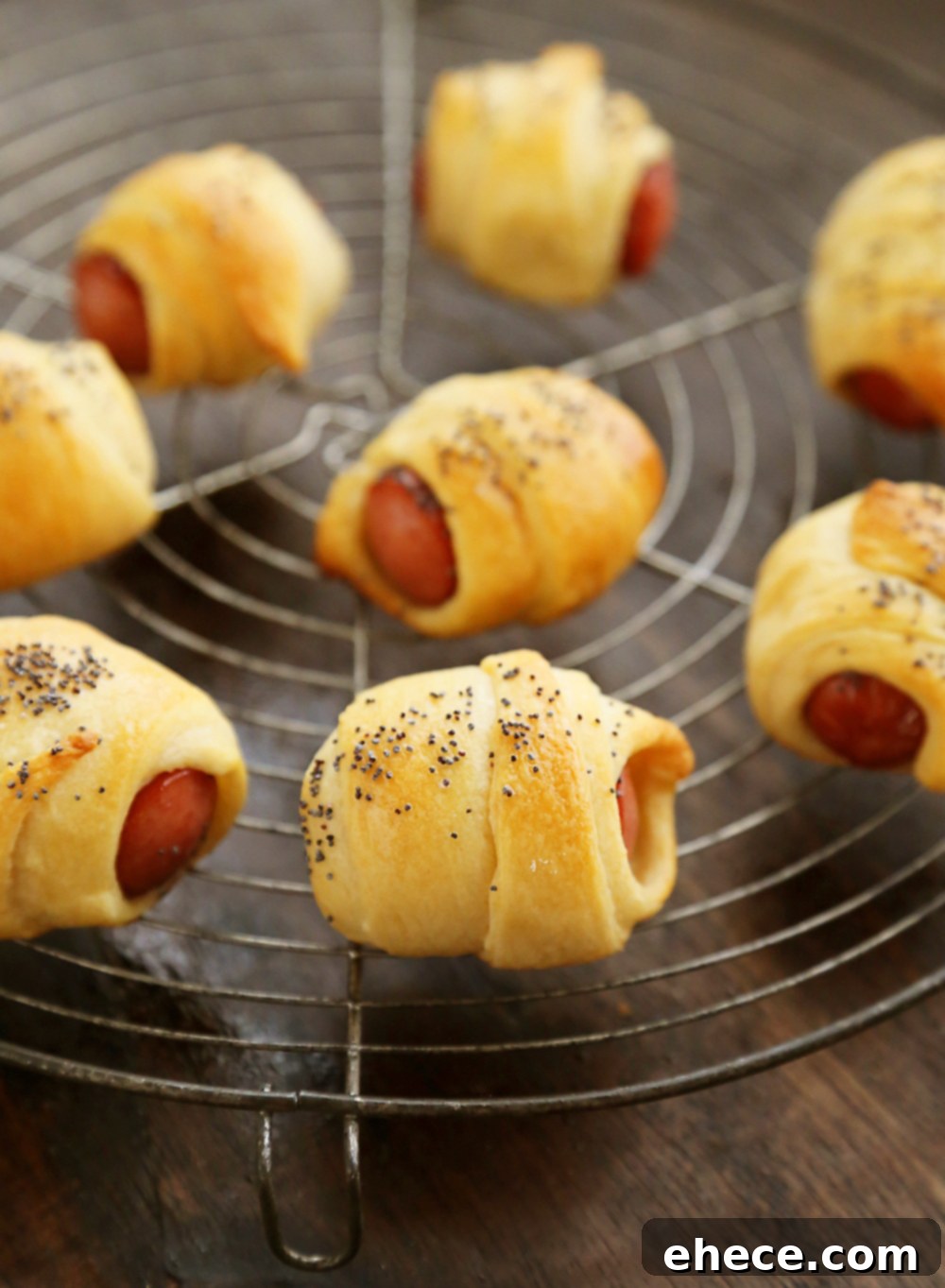 Freshly baked 3-Ingredient Crescent Hot Dog Rollups ready to be served. A simple, savory appetizer everyone will love.