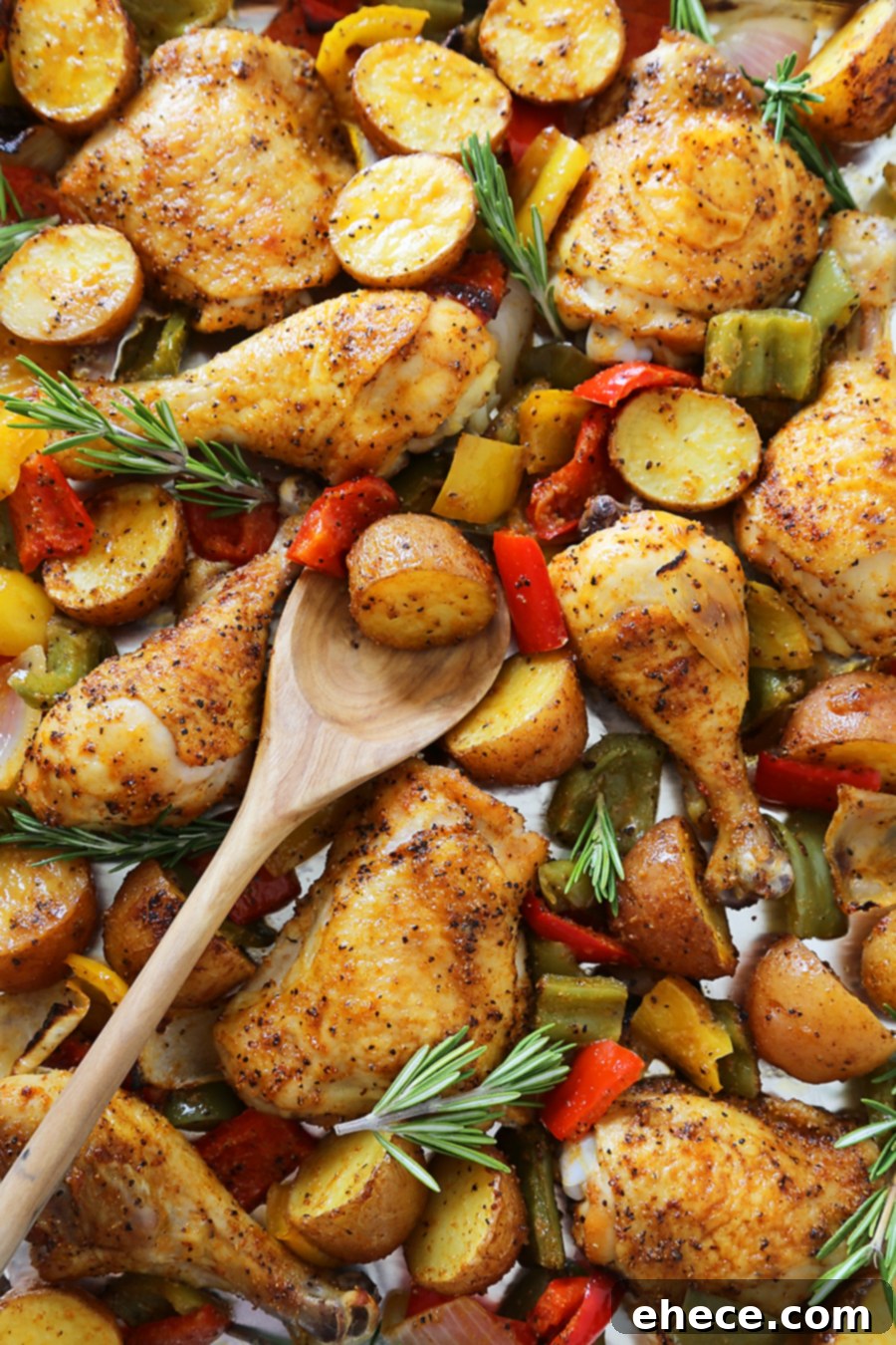 Aromatic Rosemary Chicken with Roasted Peppers & Potatoes 2 Rosemary Roasted Chicken with Bell Peppers and Potatoes - A perfectly roasted, crispy and tender chicken dish with a medley of bell peppers, potatoes, and onions for a simple one-pan weeknight meal. Recipe from TheComfortOfCooking.com