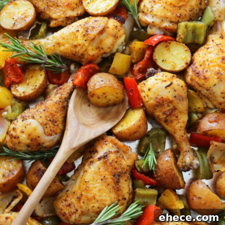 Aromatic Rosemary Chicken with Roasted Peppers & Potatoes 8 Rosemary Roasted Chicken with Bell Peppers and Potatoes