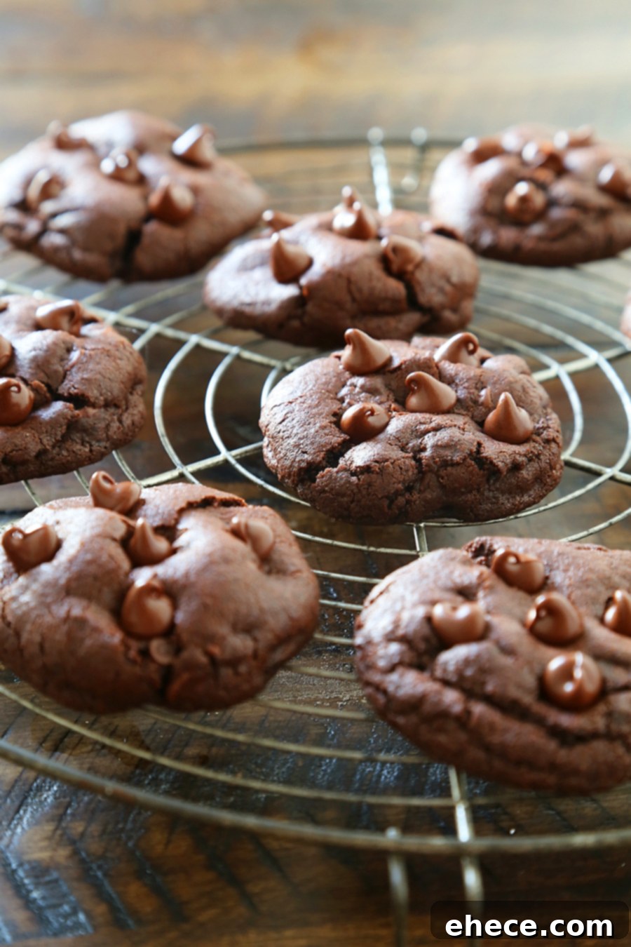 Close-up of freshly baked soft and chewy double chocolate cookies cooling on a wire rack, showing their rich texture and abundant chocolate chips.