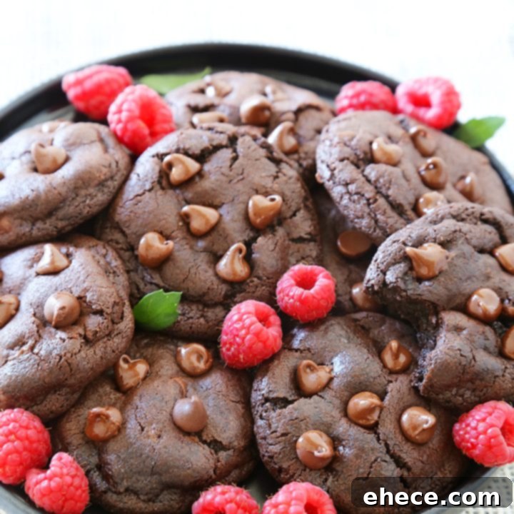 Soft & Chewy Double Chocolate Cookies - The ultimate recipe for rich, homemade double chocolate chip cookies.