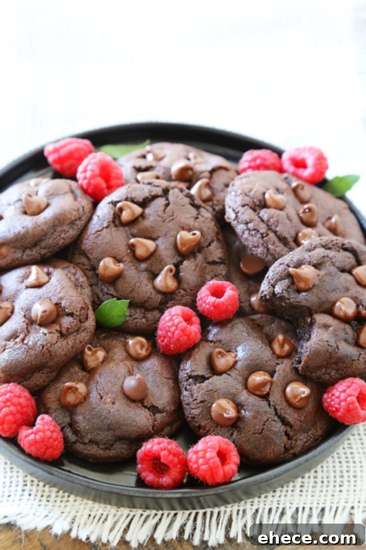 Soft & Chewy Double Chocolate Cookies - A delightful homemade treat.