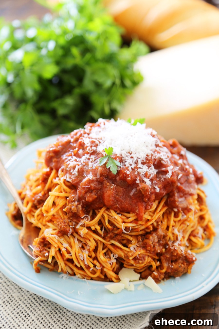Slow-Simmered Bolognese Perfection 7 Slow Cooker Spaghetti Bolognese - A rich, classic Italian pasta sauce easily made in your slow cooker! Freeze for later, or dig in with a bowl of warm spaghetti! thecomfortofcooking.com