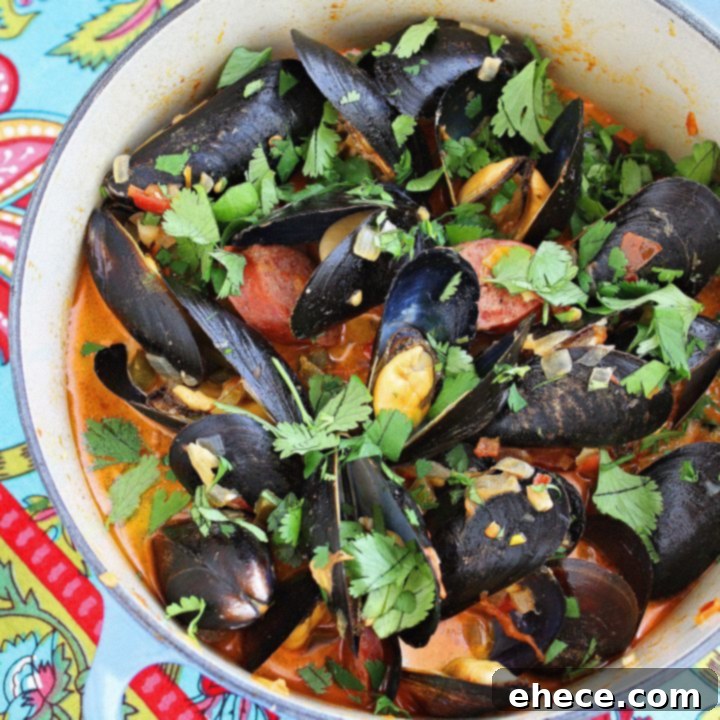 Fiery Chorizo Mussels in a Rich Tomato-Wine Broth 2 Spanish Mussels with Chorizo and Tomato-Wine Sauce