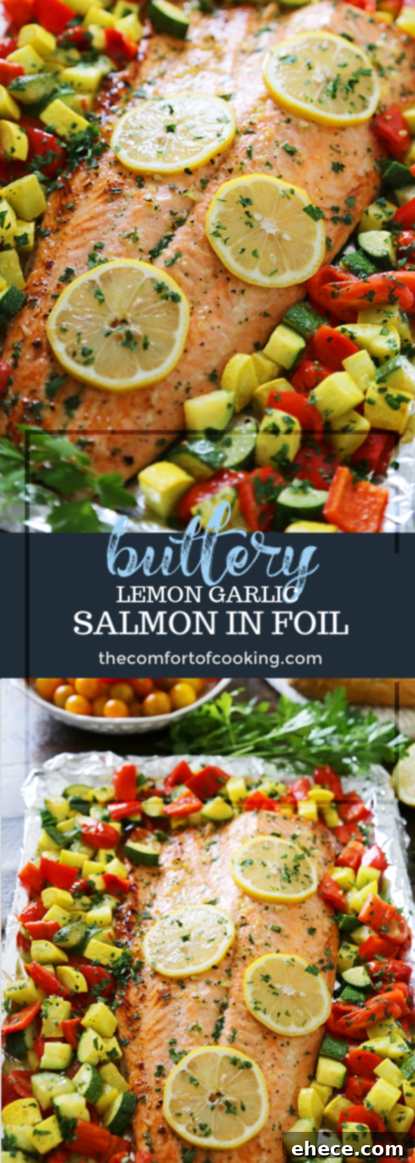 Lemon Garlic Honey Butter Salmon Veggie Foil Packs 6 img 11980 5