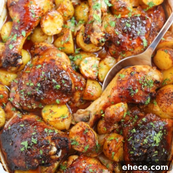 Plate of roasted apple cider chicken, potatoes, and onions ready to serve.