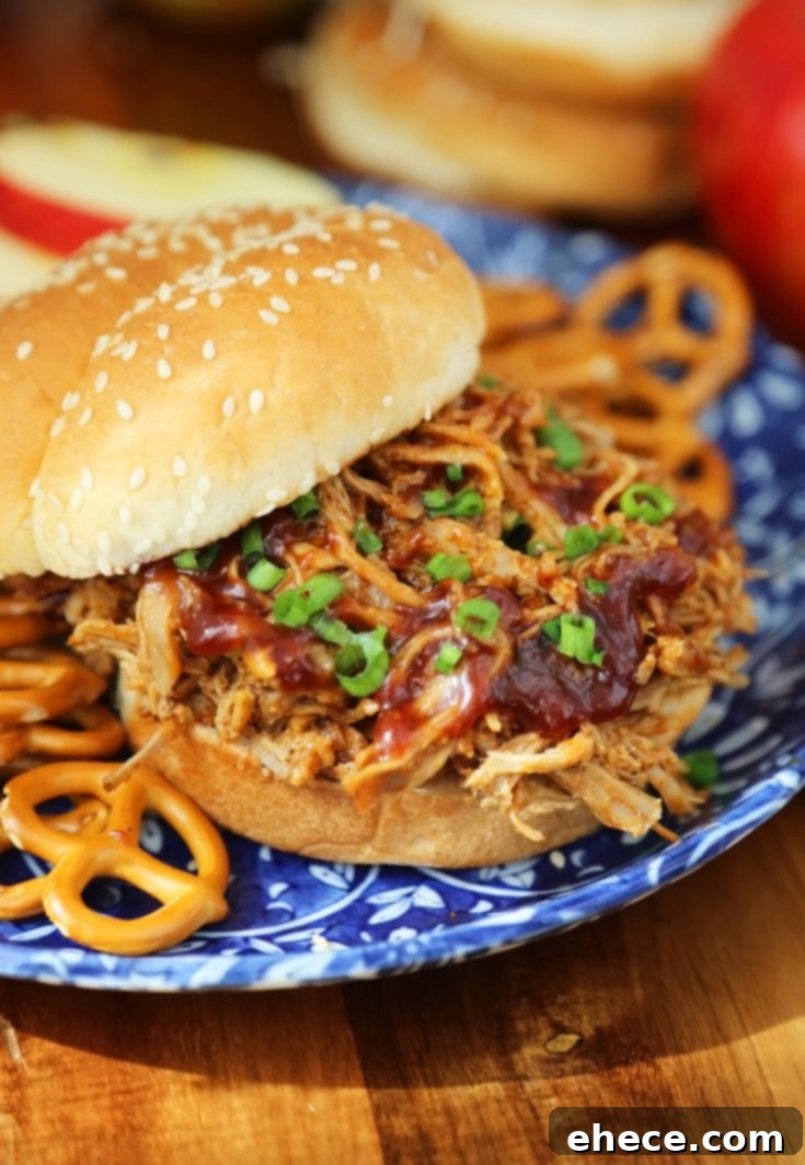 Slow Cooker Apple Cider BBQ Pulled Pork