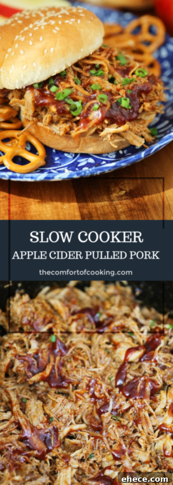 Slow-Simmered Apple Cider BBQ Pork 9 img 12106 8