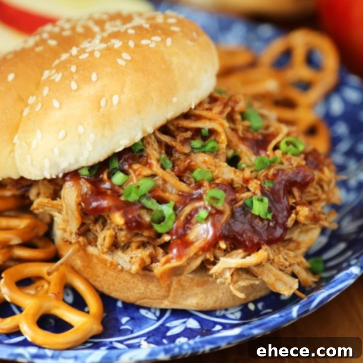 Slow-Simmered Apple Cider BBQ Pork 10 Slow Cooker Apple Cider BBQ Pulled Pork