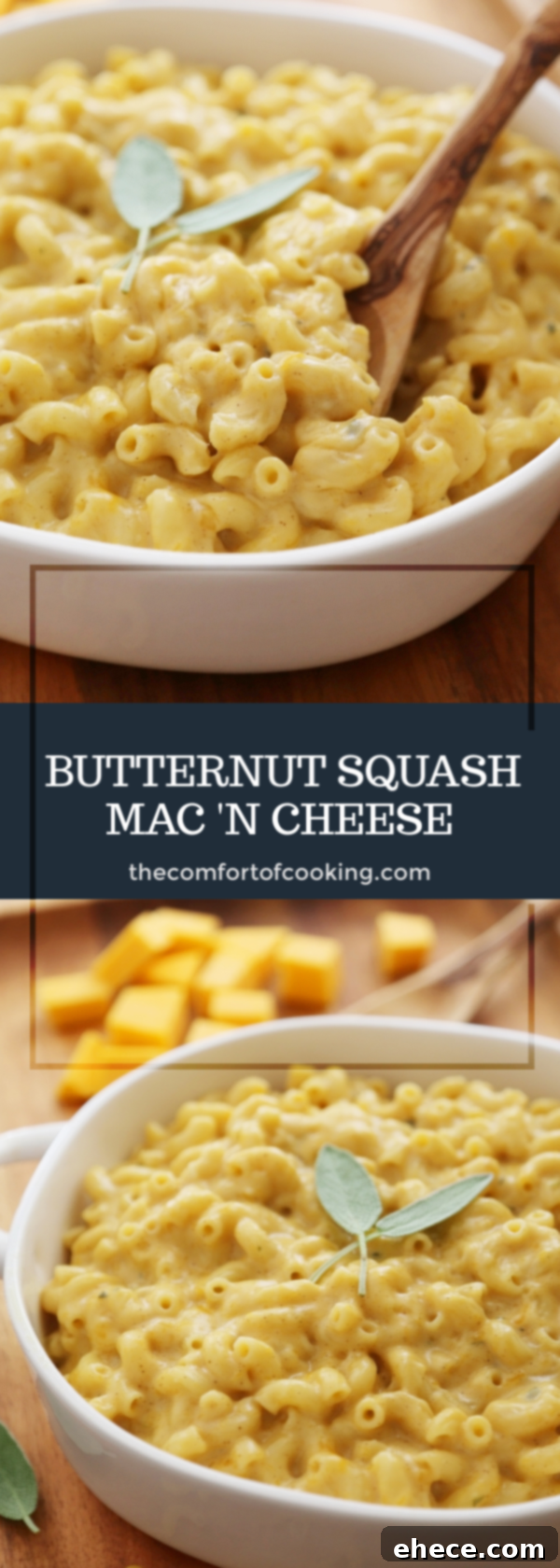 Butternut Squash Mac and Cheese recipe card image