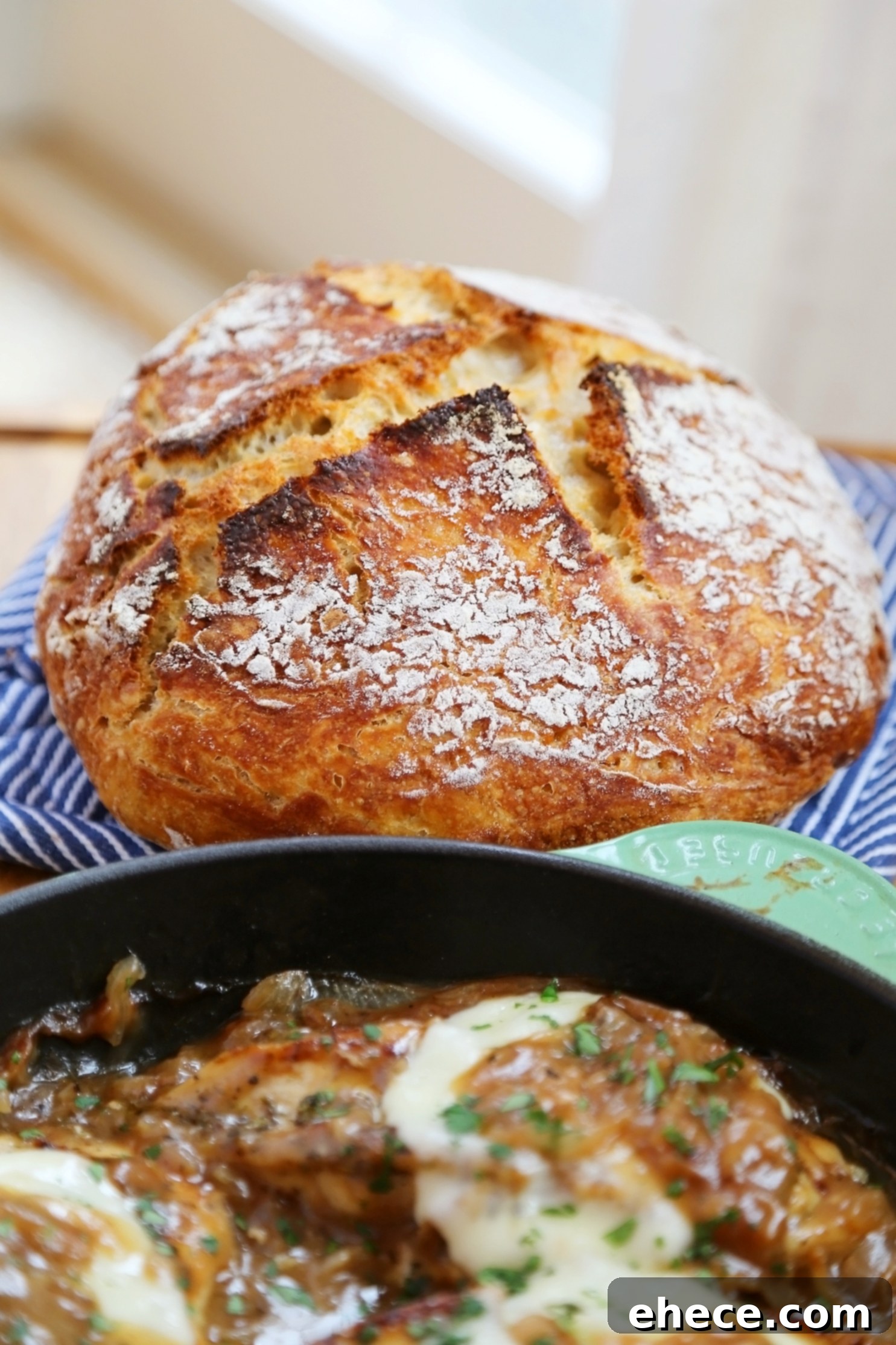Skillet French Onion Chicken - Saucy, melt-in-your-mouth French onion chicken smothered in caramelized onion gravy, topped with melted cheese.