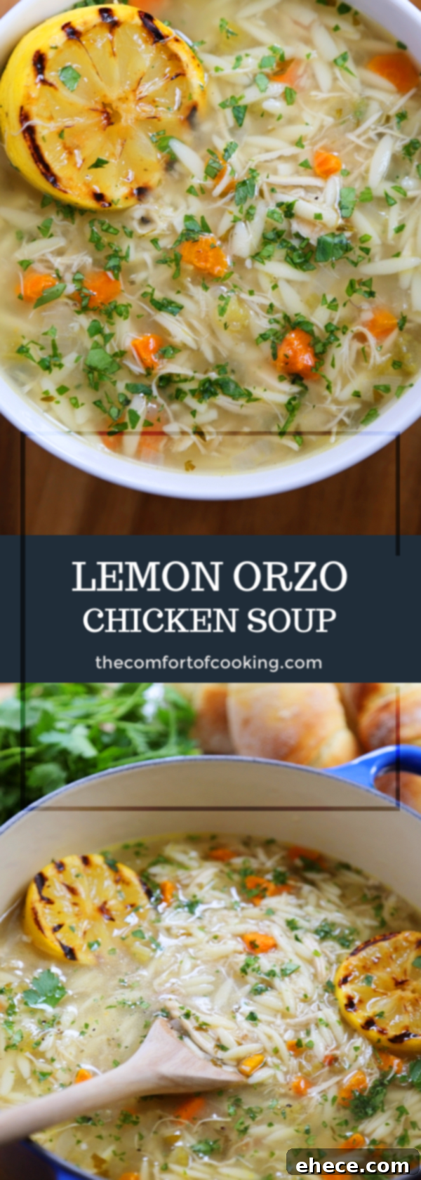 Zesty Lemon Chicken & Orzo Soup 9 Infographic style image promoting the Lemon Orzo Chicken Soup.
