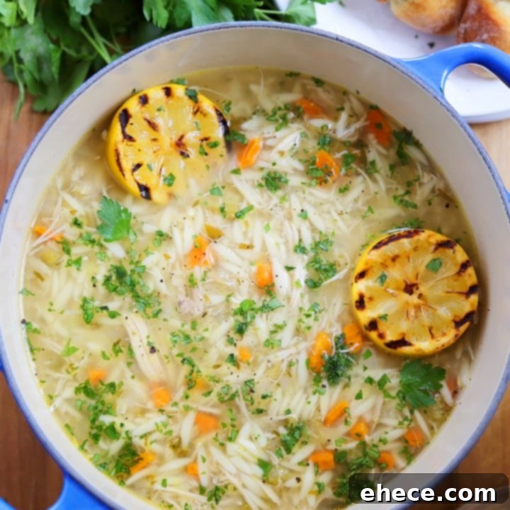Zesty Lemon Chicken & Orzo Soup 10 Lemon Orzo Chicken Soup