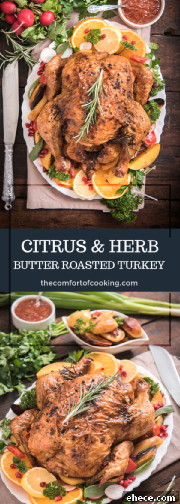 Promotional graphic for Diestel Turkey