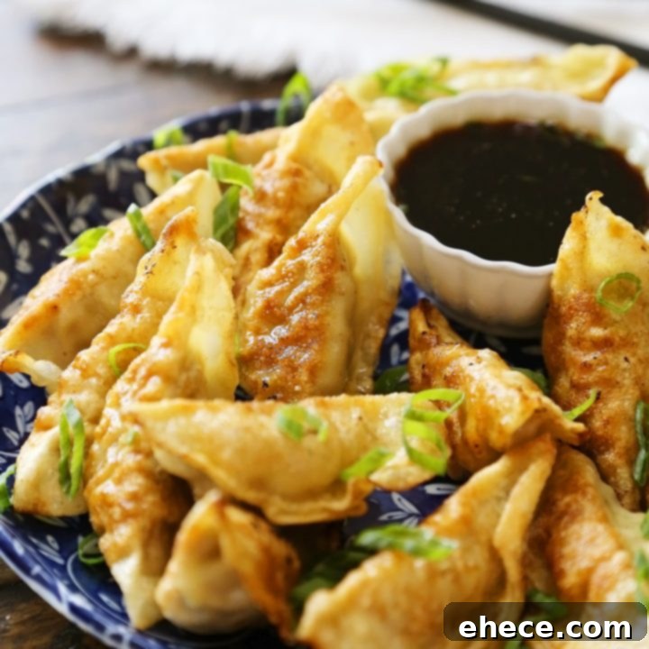 Simple Asian Dumplings with Zesty Soy Ginger Dip 8 Easy Asian Dumplings with Soy-Ginger Dipping Sauce