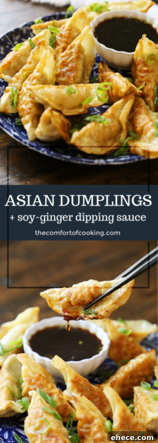 Simple Asian Dumplings with Zesty Soy Ginger Dip 10 A banner promoting a recipe for easy Asian dumplings.