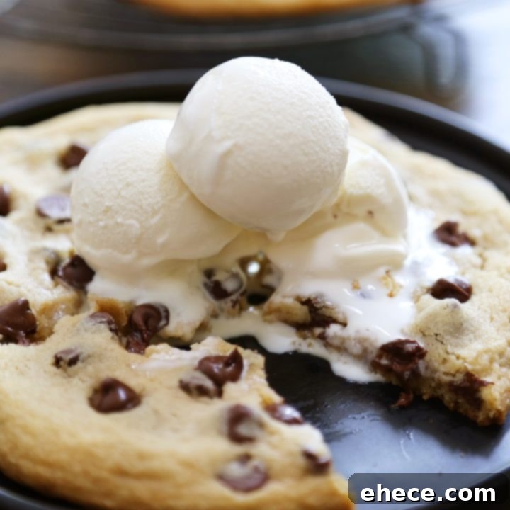 Perfect Pair Chocolate Chip Cookies 10 Emergency Chocolate Chip Cookie for Two