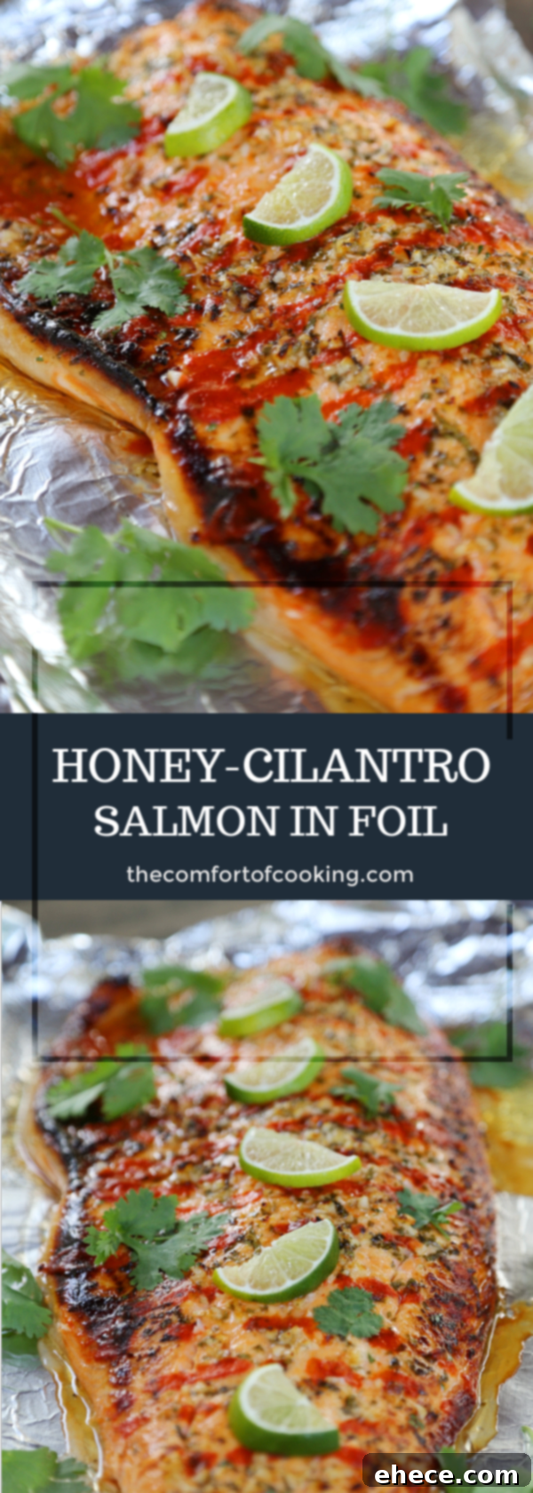 Honey Cilantro Lime Salmon Packets 9 img 12756 8