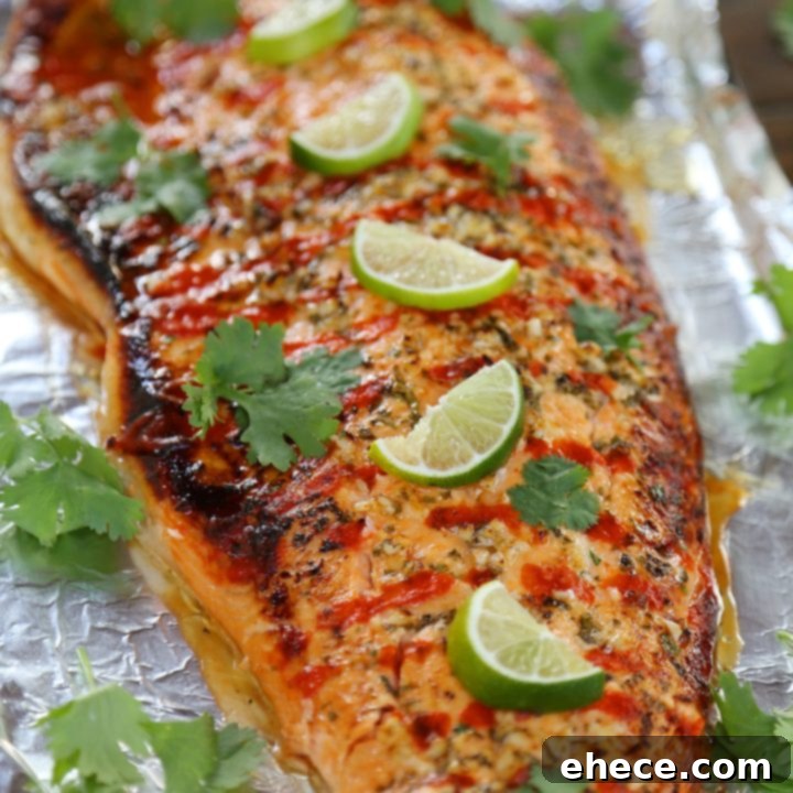 Honey Cilantro Lime Salmon Packets 10 Honey Cilantro Lime Salmon in Foil