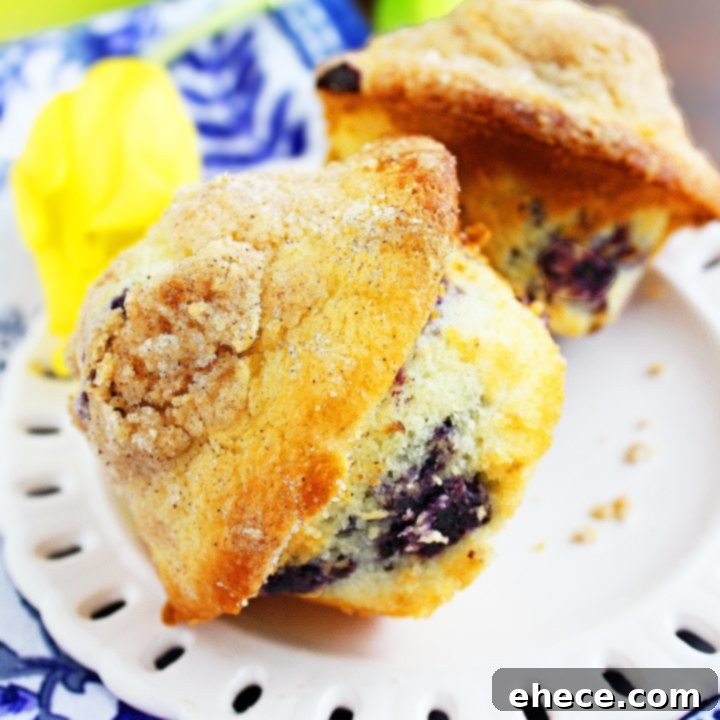 Lemon-Blueberry Crumb Muffins