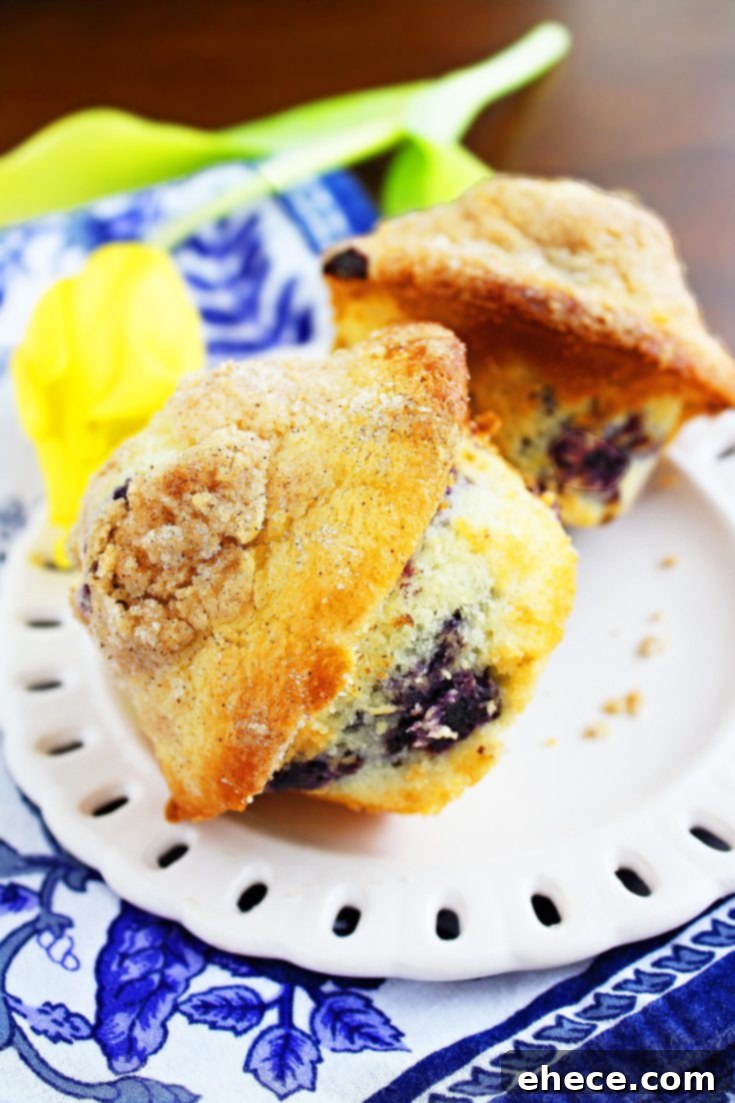 Lemon-Blueberry Crumb Muffins