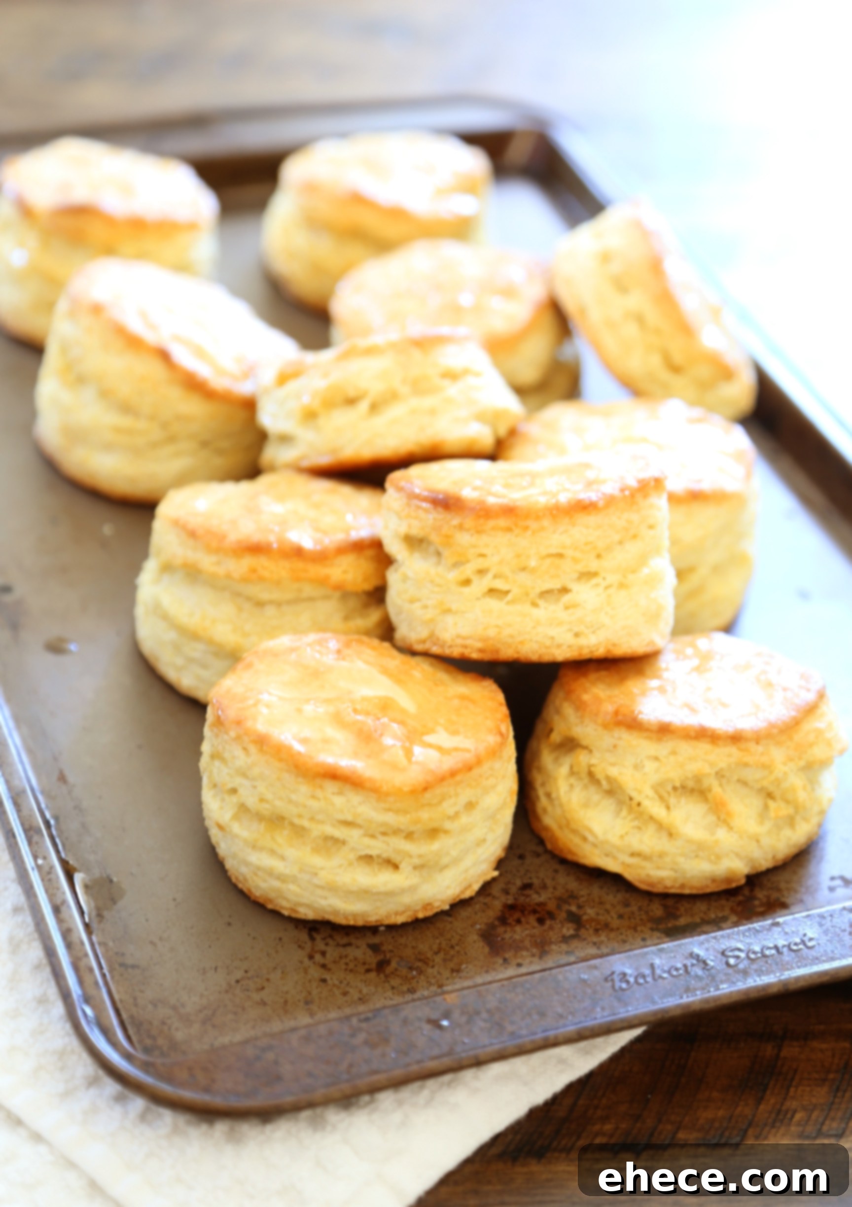 A plate of freshly baked buttermilk biscuits, golden brown and flaky