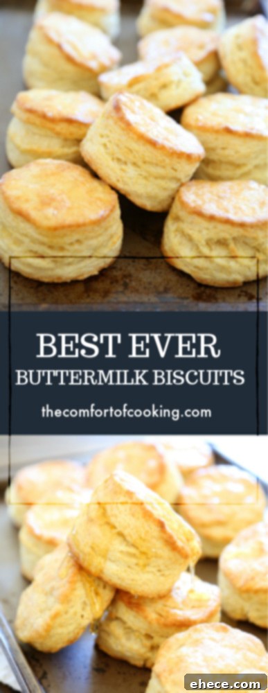 A small stack of two buttermilk biscuits, showing their height