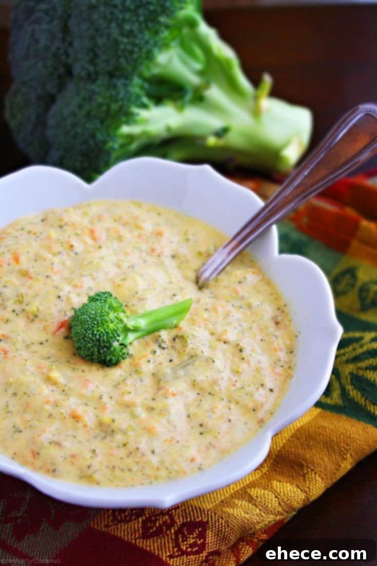 Creamy Broccoli Cheddar Soup, a comforting and easy-to-make dish perfect for any occasion.