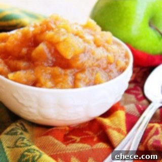 Warm Cinnamon Apple Bliss 2 Homemade Cinnamon Applesauce