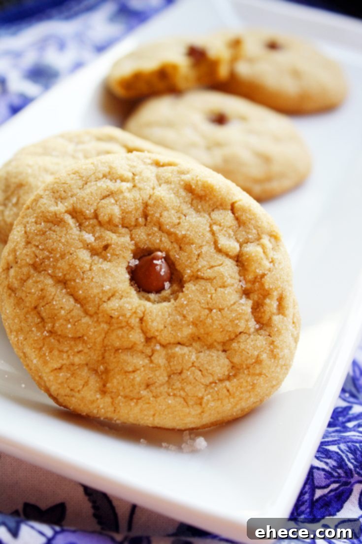 Brown Sugar Cookies with Fleur de Sel