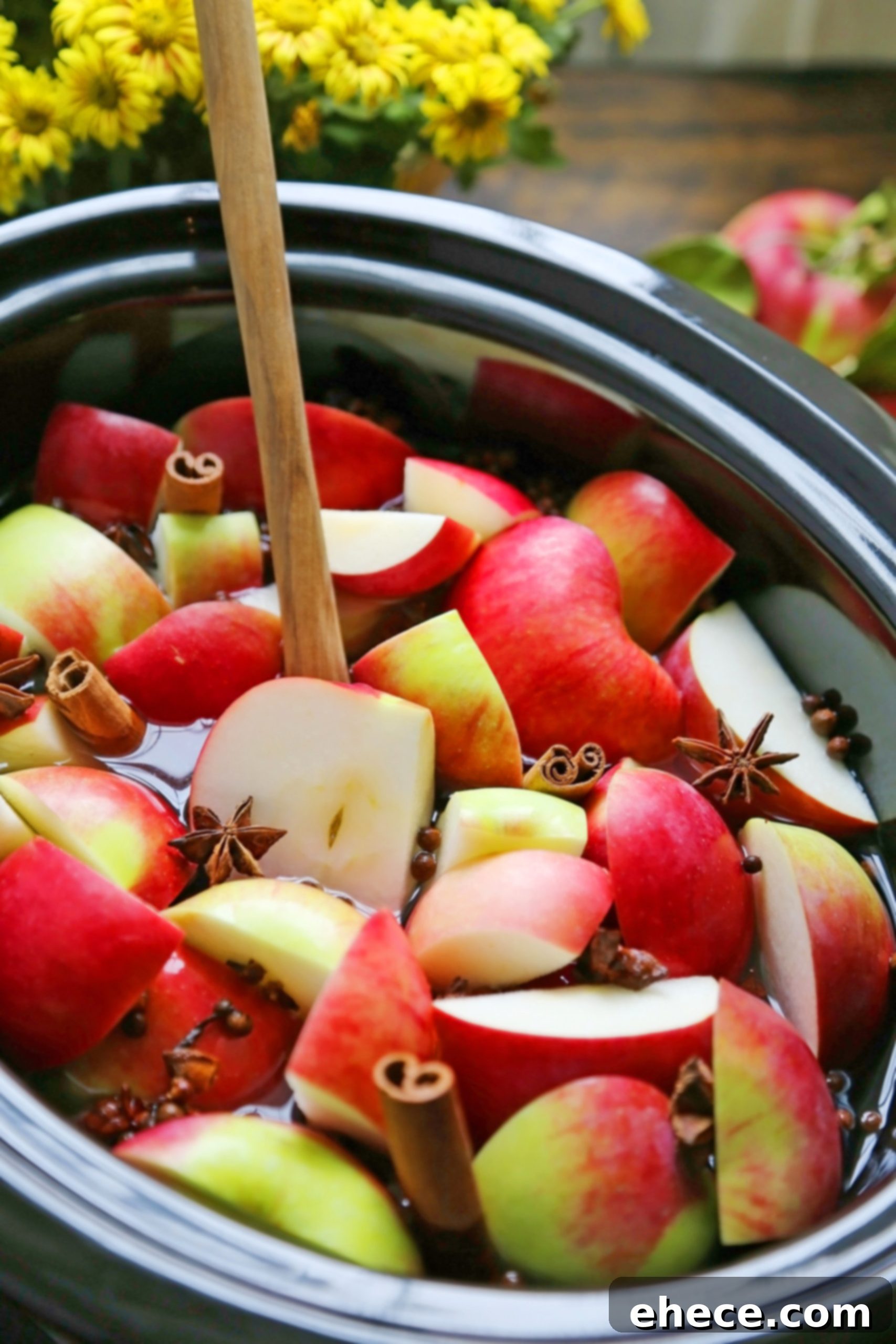 Fresh apples and spices ready for homemade apple cider