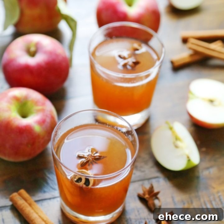 Easy Homemade Apple Cider in a mug with apple and cinnamon garnish
