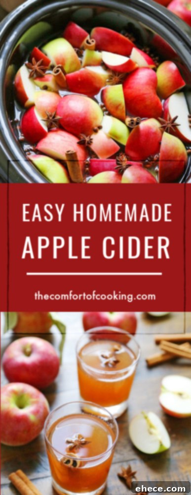 Apple cider in a glass bottle with fresh apples and cinnamon sticks