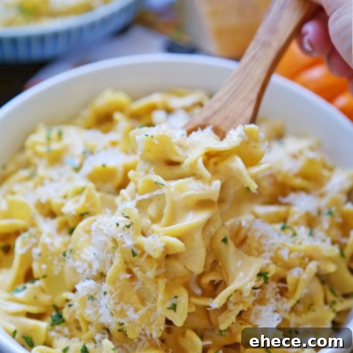 Velvety Pumpkin Alfredo 6 Creamy Pumpkin Alfredo Pasta Recipe