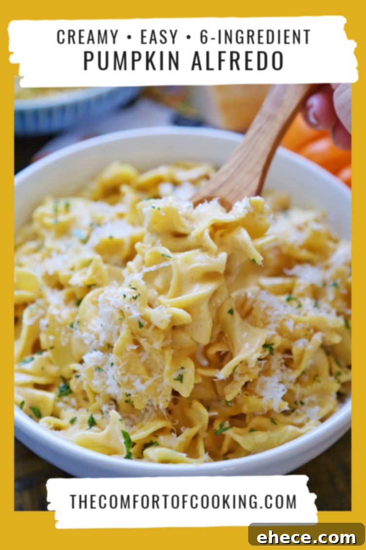 Overhead shot of a single bowl of Creamy Pumpkin Alfredo, garnished with herbs