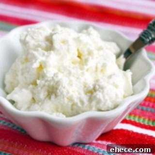 Homemade Ricotta Cheese
